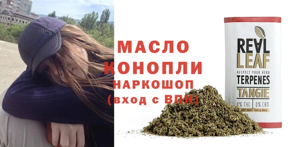 ПСИЛОЦИБИНОВЫЕ ГРИБЫ Дмитриев