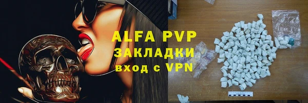ПСИЛОЦИБИНОВЫЕ ГРИБЫ Дмитриев