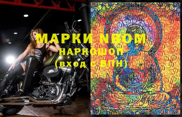 ПСИЛОЦИБИНОВЫЕ ГРИБЫ Дмитриев