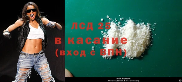 ПСИЛОЦИБИНОВЫЕ ГРИБЫ Дмитриев