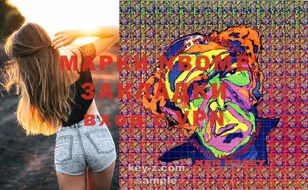 ПСИЛОЦИБИНОВЫЕ ГРИБЫ Дмитриев