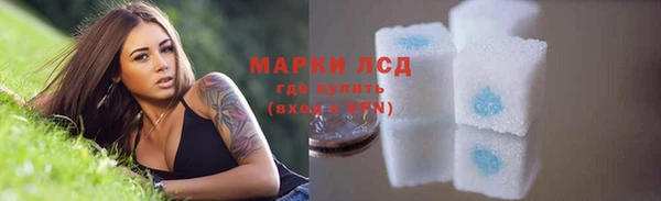 ПСИЛОЦИБИНОВЫЕ ГРИБЫ Дмитриев