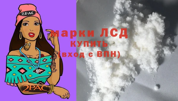 ПСИЛОЦИБИНОВЫЕ ГРИБЫ Дмитриев
