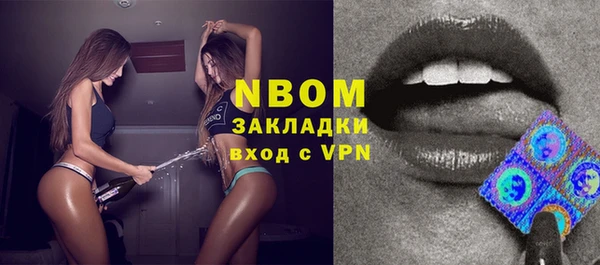ПСИЛОЦИБИНОВЫЕ ГРИБЫ Дмитриев