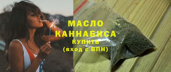 ПСИЛОЦИБИНОВЫЕ ГРИБЫ Дмитриев